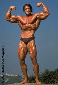Arnold Schwarzenegger Διατροφή Bodybuilding