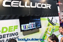 Cellucor at the 2014 Olympia weekend expo