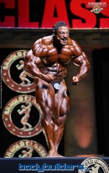 2015 IFBB Arnold Classic - Roelly Winklaar